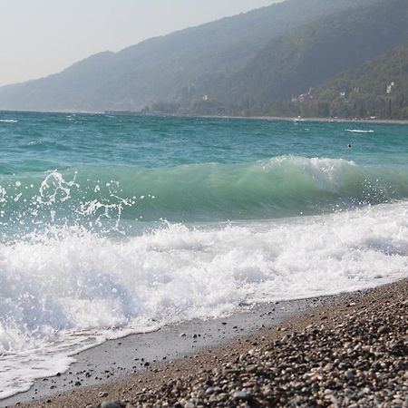 Mamzyshkha Guest House Gagra Dış mekan fotoğraf