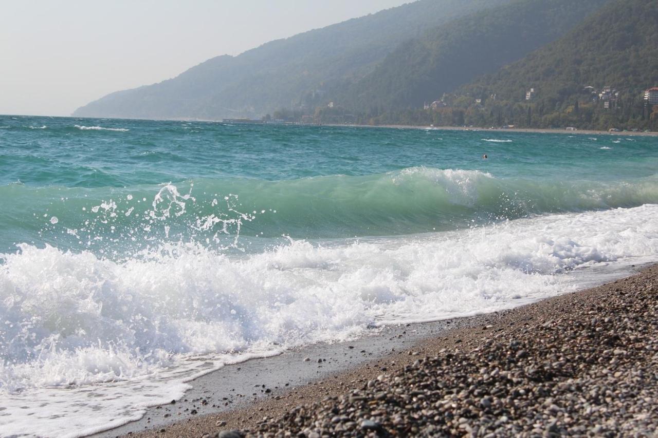 Mamzyshkha Guest House Gagra Dış mekan fotoğraf